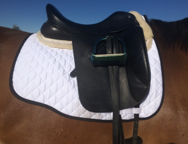 オギルヴィー サドルクロス　馬場用　ゼッケン　(Euroカット)