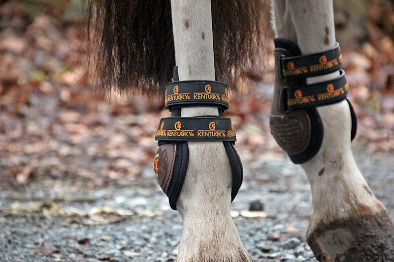 【SALE】 ケンタッキー ムーンブーツMAX