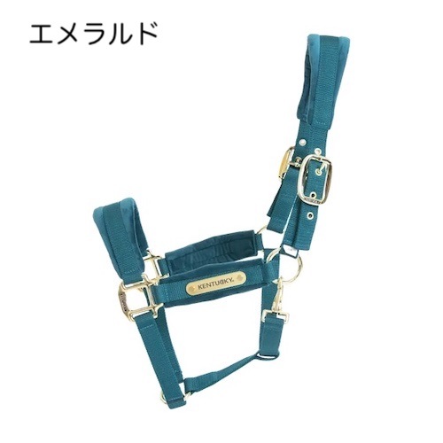 ケンタッキー　ベルベットホルター
