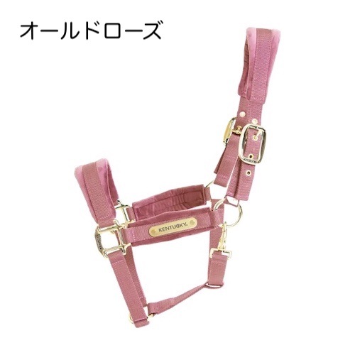 ケンタッキー　ベルベットホルター