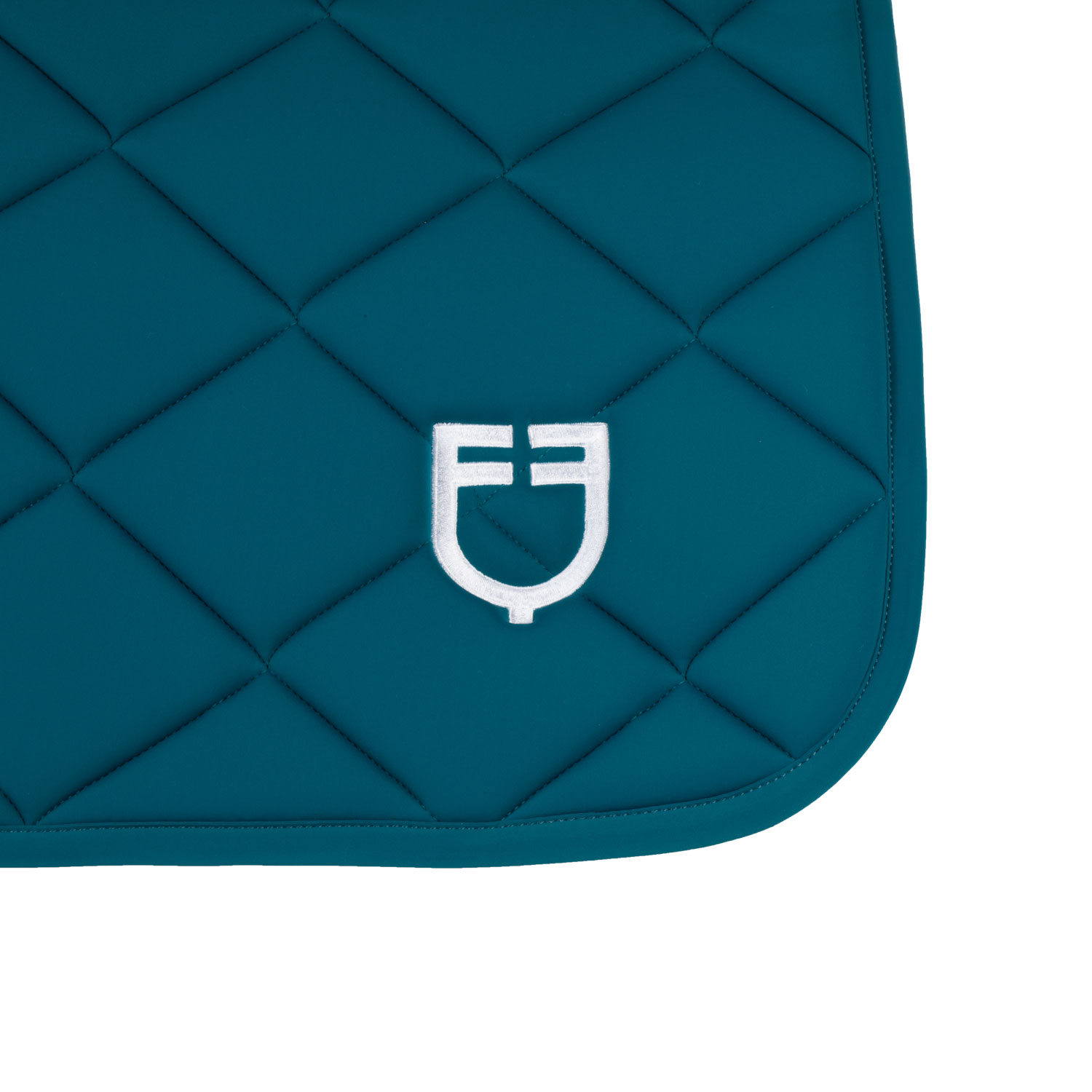 エクエストロ 障害用ゼッケン GP