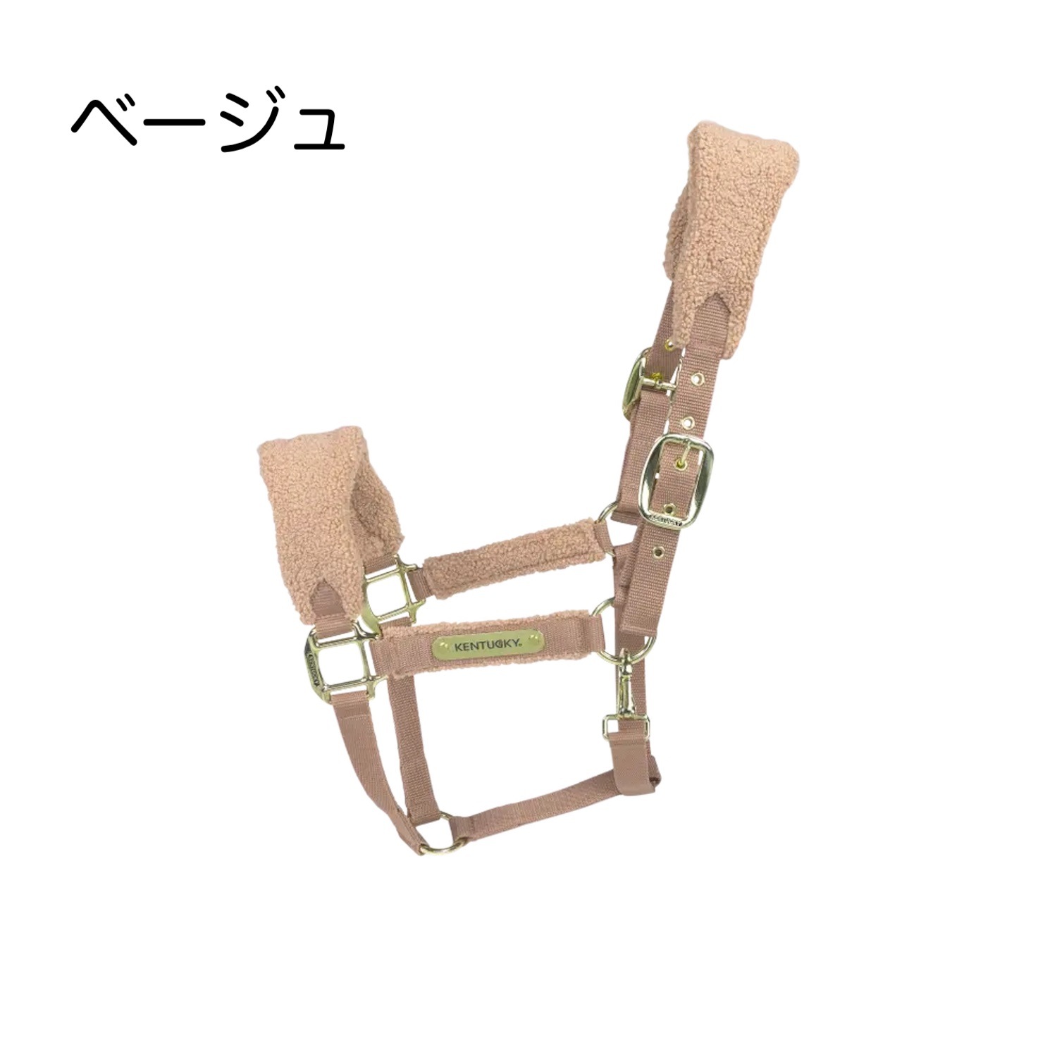 ケンタッキー　テディフリースホルター