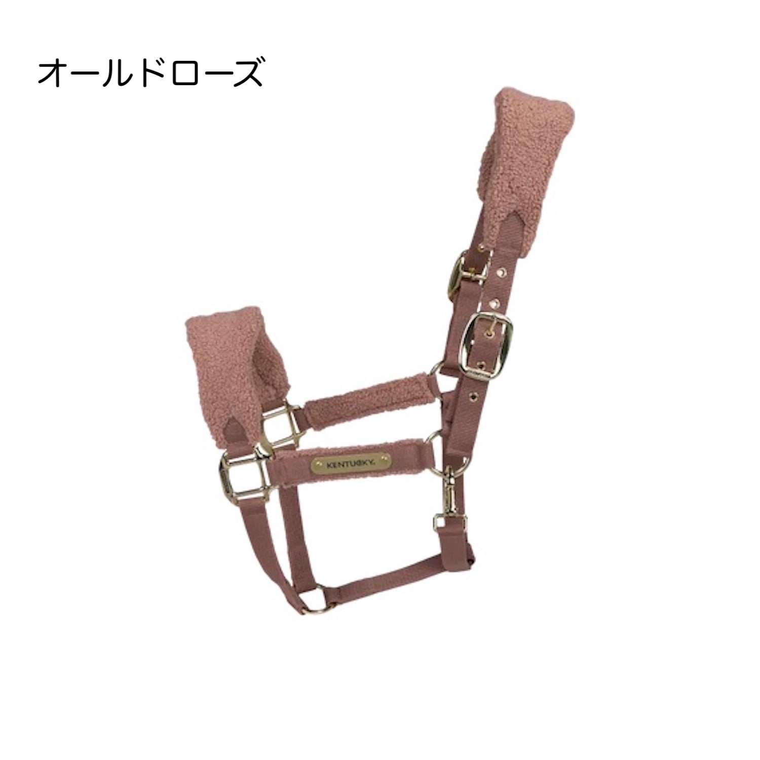 ケンタッキー　テディフリースホルター