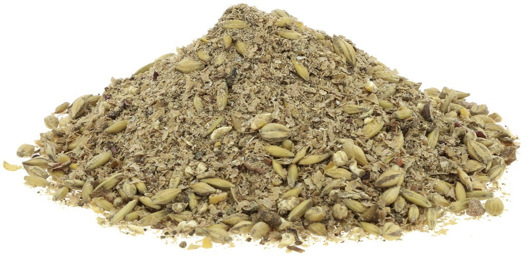 HIPPOTONIC　マッシュ