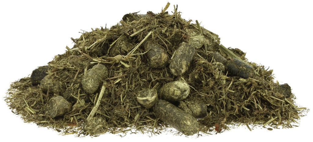 HIPPOTONIC　マッシュ