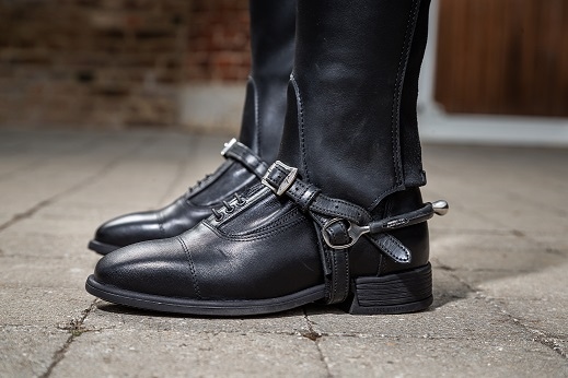 ディオン　拍車ベルト