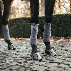 乗馬フリースとソックスの2点セット ケンタッキー Polarフリース肢巻（325cm×12cm）｜乗馬用品なら