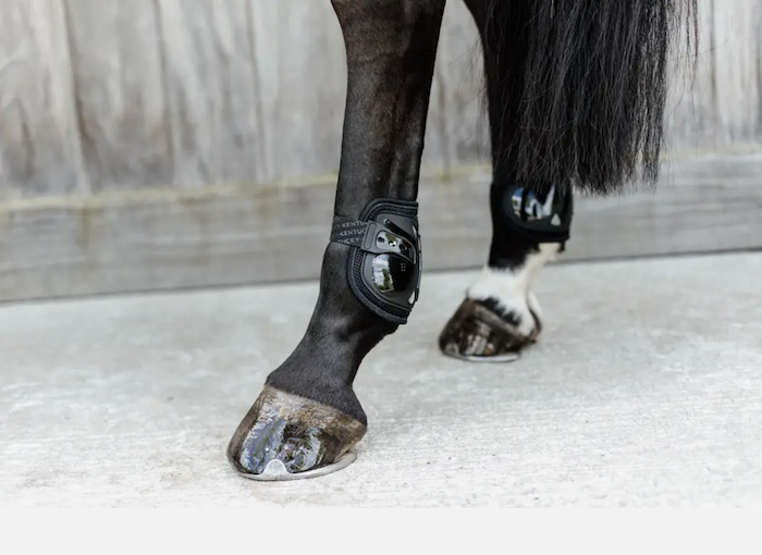 ケンタッキー　ムーンブーツAir