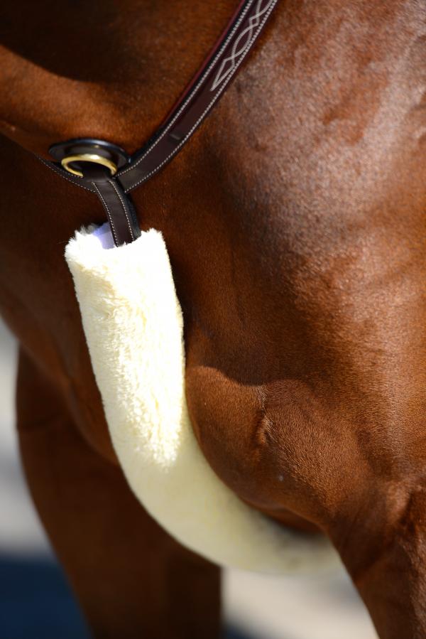 ケンタッキー　胸ガイボア