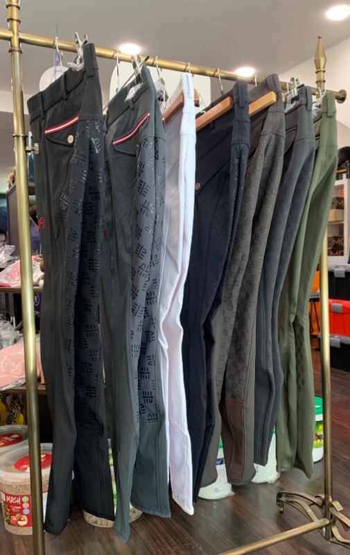 【Web限定商品】ANY HORSE(ｴﾆｰﾎｰｽ)　メンズキュロット　先行発売品【現品限り】