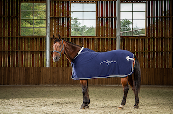 ディオン フリースラグ