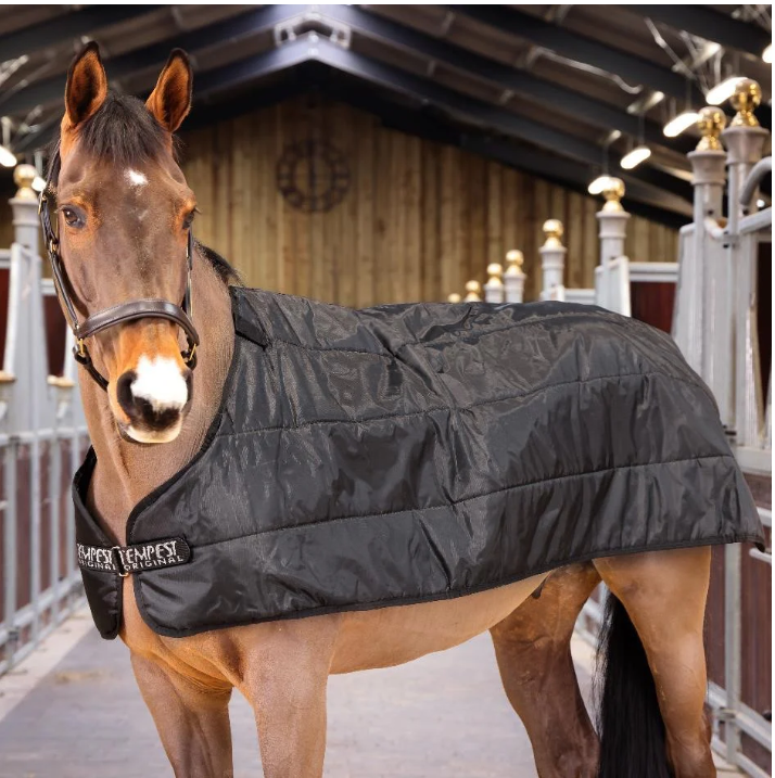 SHIREテンペスト ライナーラグ(200g)