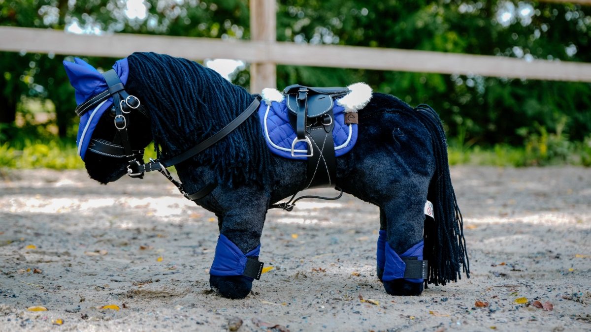 受注発注】PONY ACADEMY マルタンガール｜乗馬用品・馬具なら中江物産