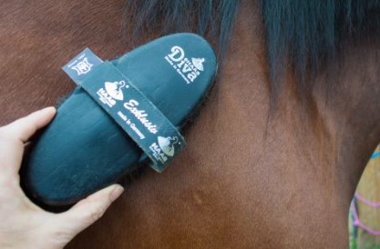 HAAS　羊毛付　仕上げブラシ Diva