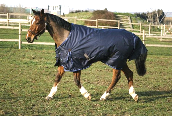 135　馬着　ターンアウトラグ　ターンアウト　ラグ　防水　防風　乗馬用品　乗馬 Amazon.co.jp: HORZE 乗馬 馬用 エクササイズラグ ライディング