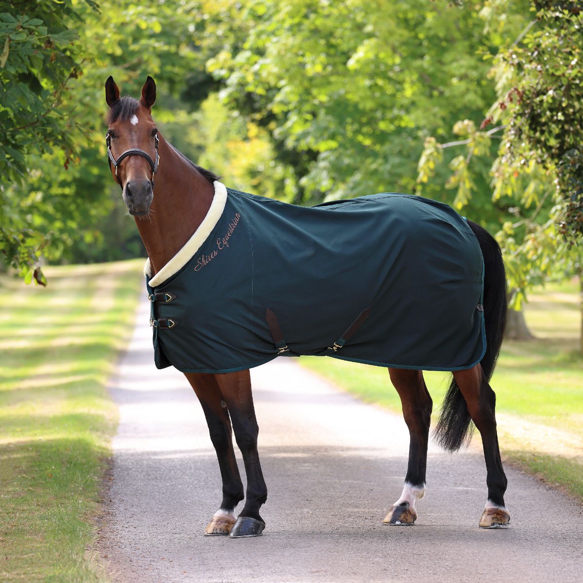 SHIRES デラックスステーブルシート