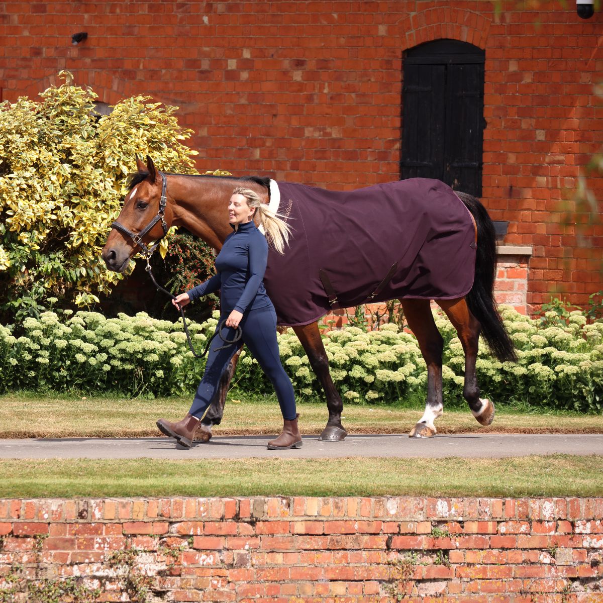 SHIRES デラックスステーブルシート