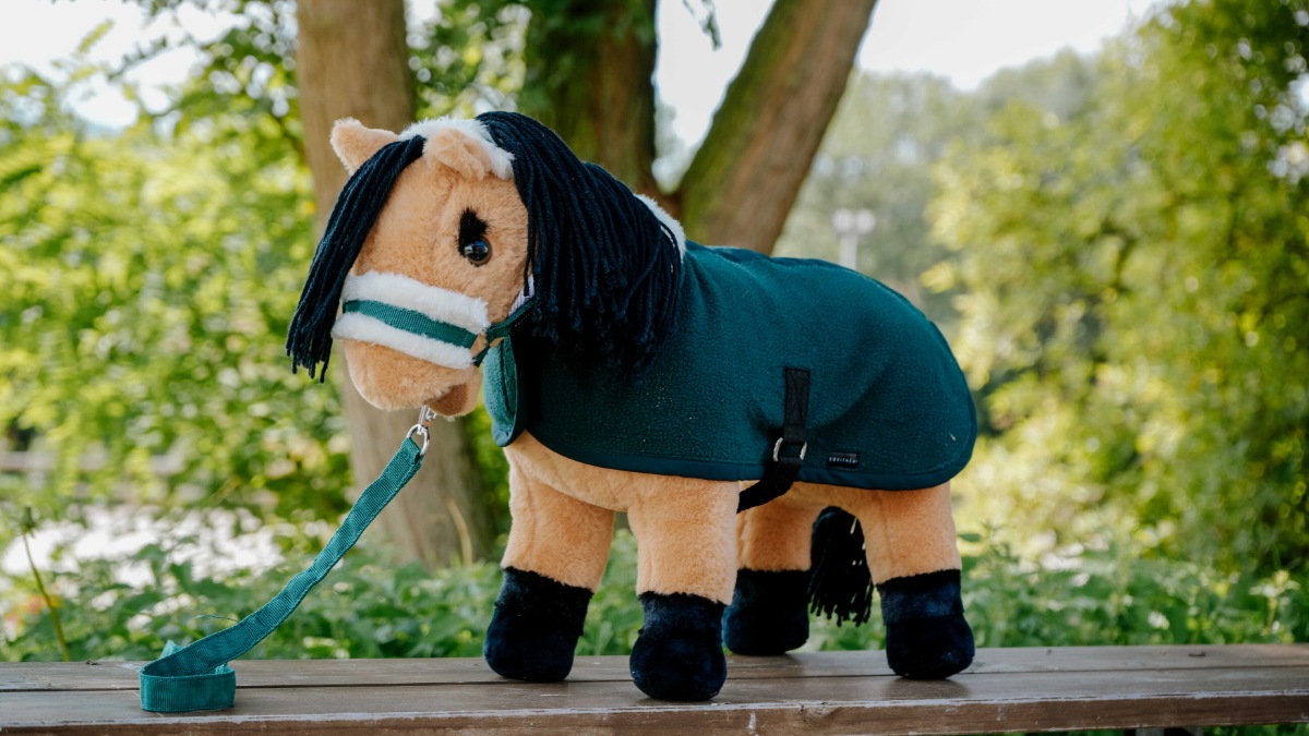 【受注発注】PONY ACADEMY　ホルター＆ラグセット