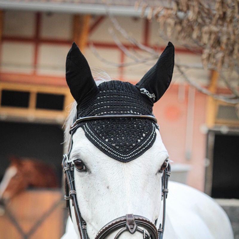 ペネロペ　NEW STRASS イヤーネット 