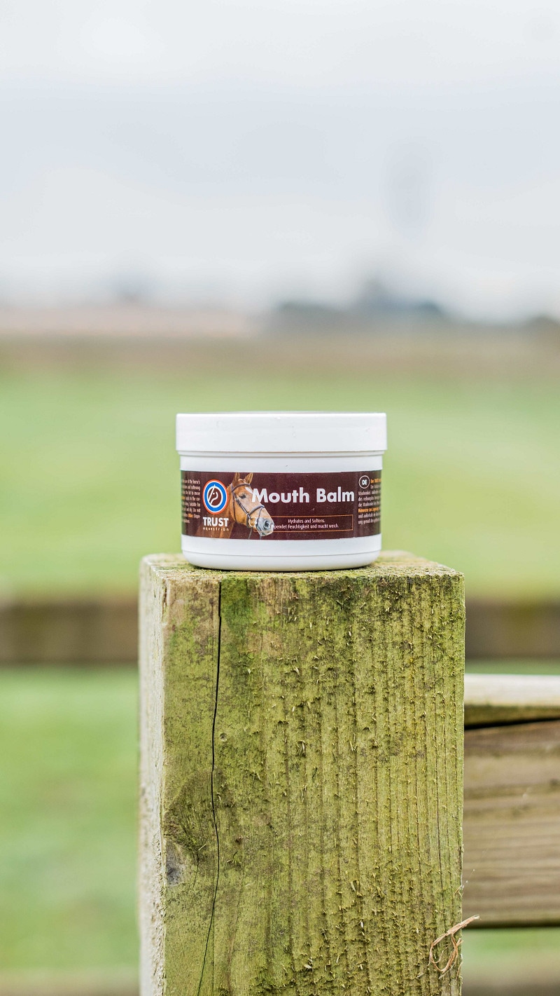 トラスト マウスバーム