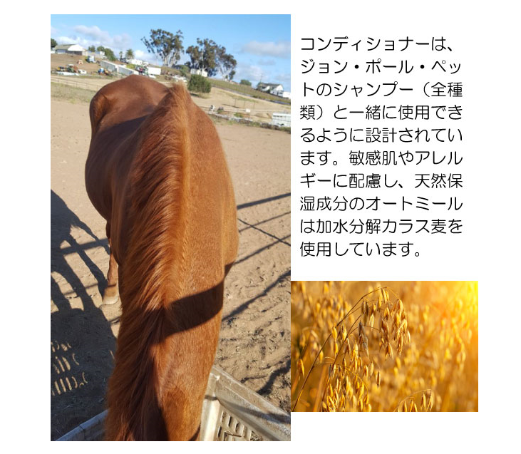 ポールミッチェル（ジョンポール）　オートミールリンス