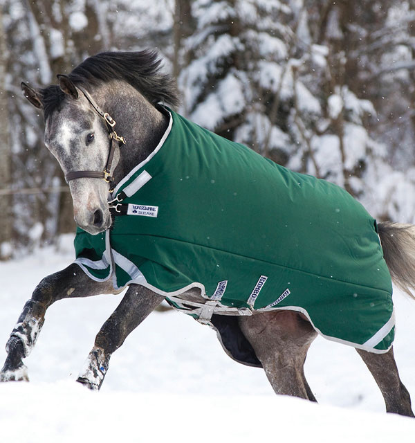 ランボー オリジナルターンアウト 400g