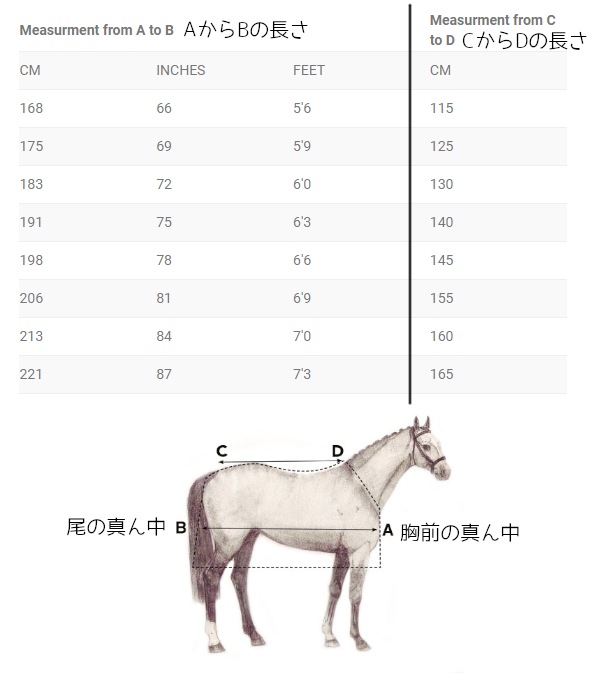 ランボー オリジナルターンアウト 400g
