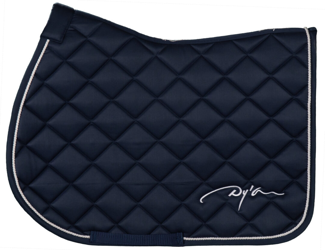 ディオン ダイヤモンドゼッケン障害用