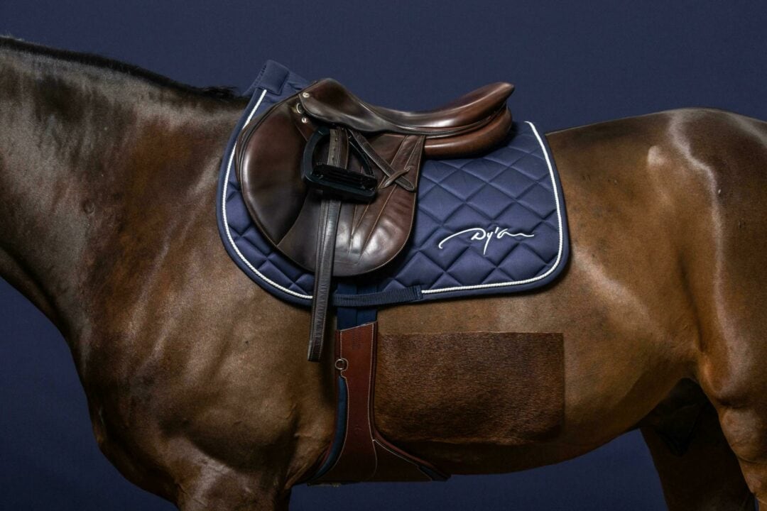 ディオン ダイヤモンドゼッケン障害用