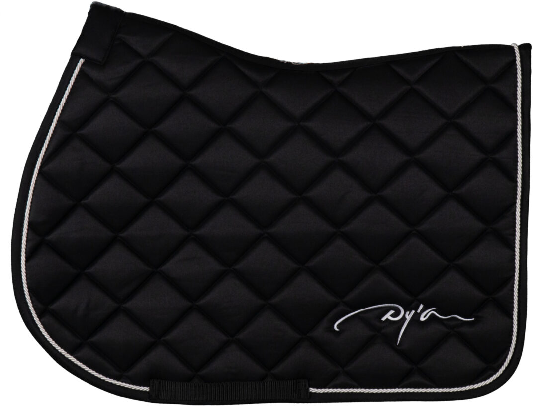 ディオン ダイヤモンドゼッケン障害用