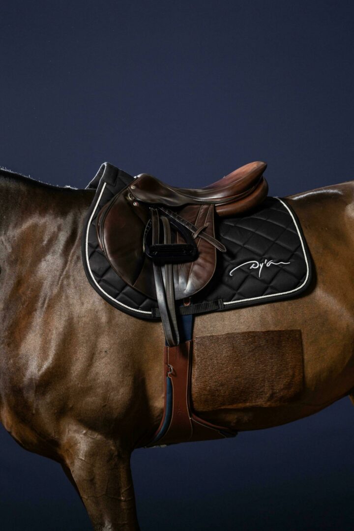 ディオン ダイヤモンドゼッケン障害用