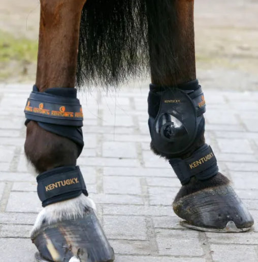 馬具　馬の後ろ足のプロテクター ケンタッキー 馬具 馬の後ろ足のプロテクター ケンタッキー