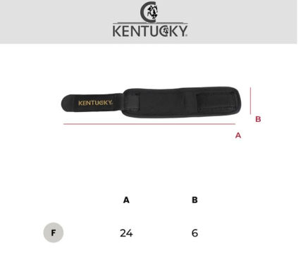 ケンタッキー　パスタンラップ　