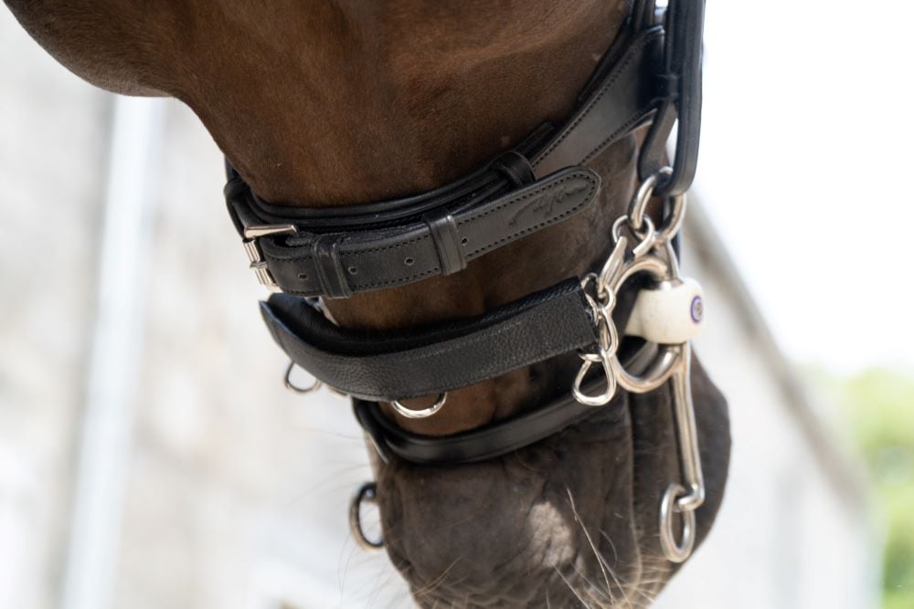 ディオン　レザーチェーンプロテクター(ナイロン入)