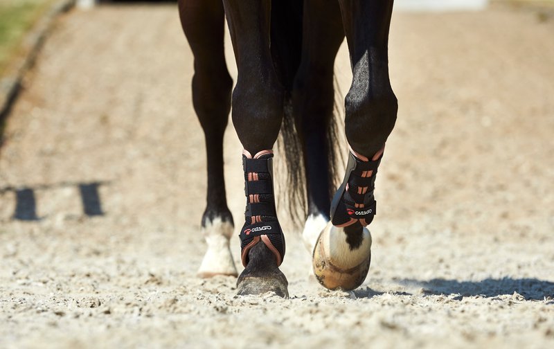 【WEB限定50％off】  カタゴ FIR-Techドレッサージブーツ