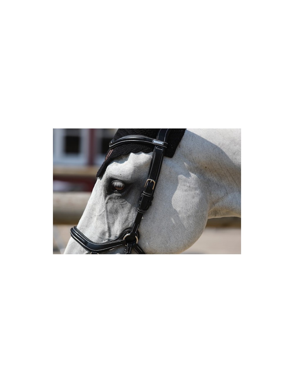 JUMPIN(ジャンピン) NewYork頭絡 ゴム手綱付き