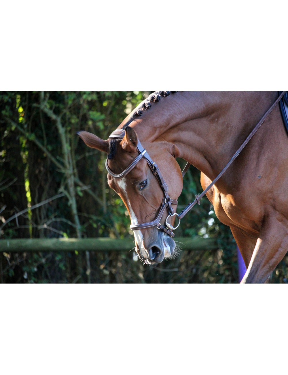 シルデリック 馬場鞍DJO｜乗馬用品なら中江物産通販サイト