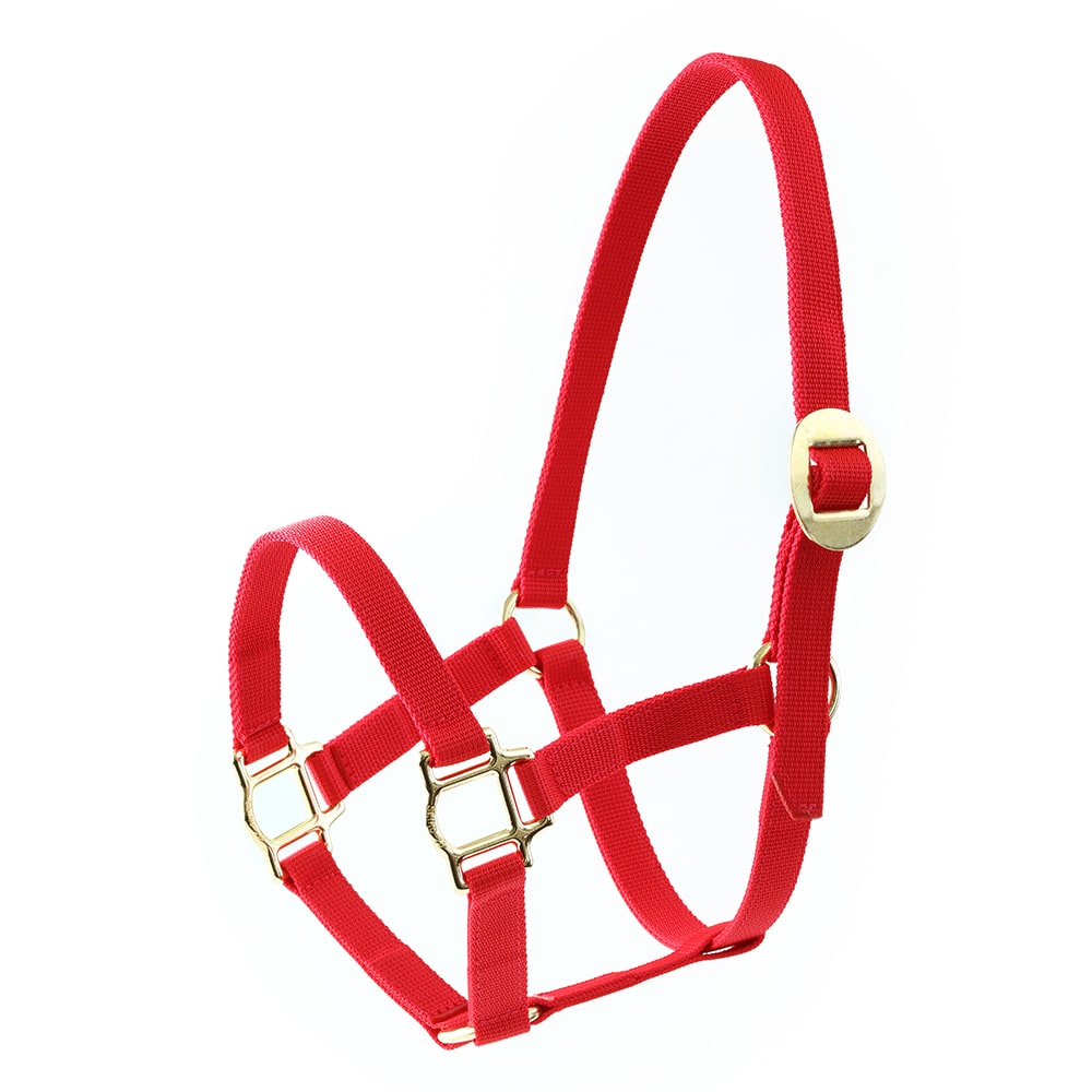 ソメス ポニー用ナイロンホルター