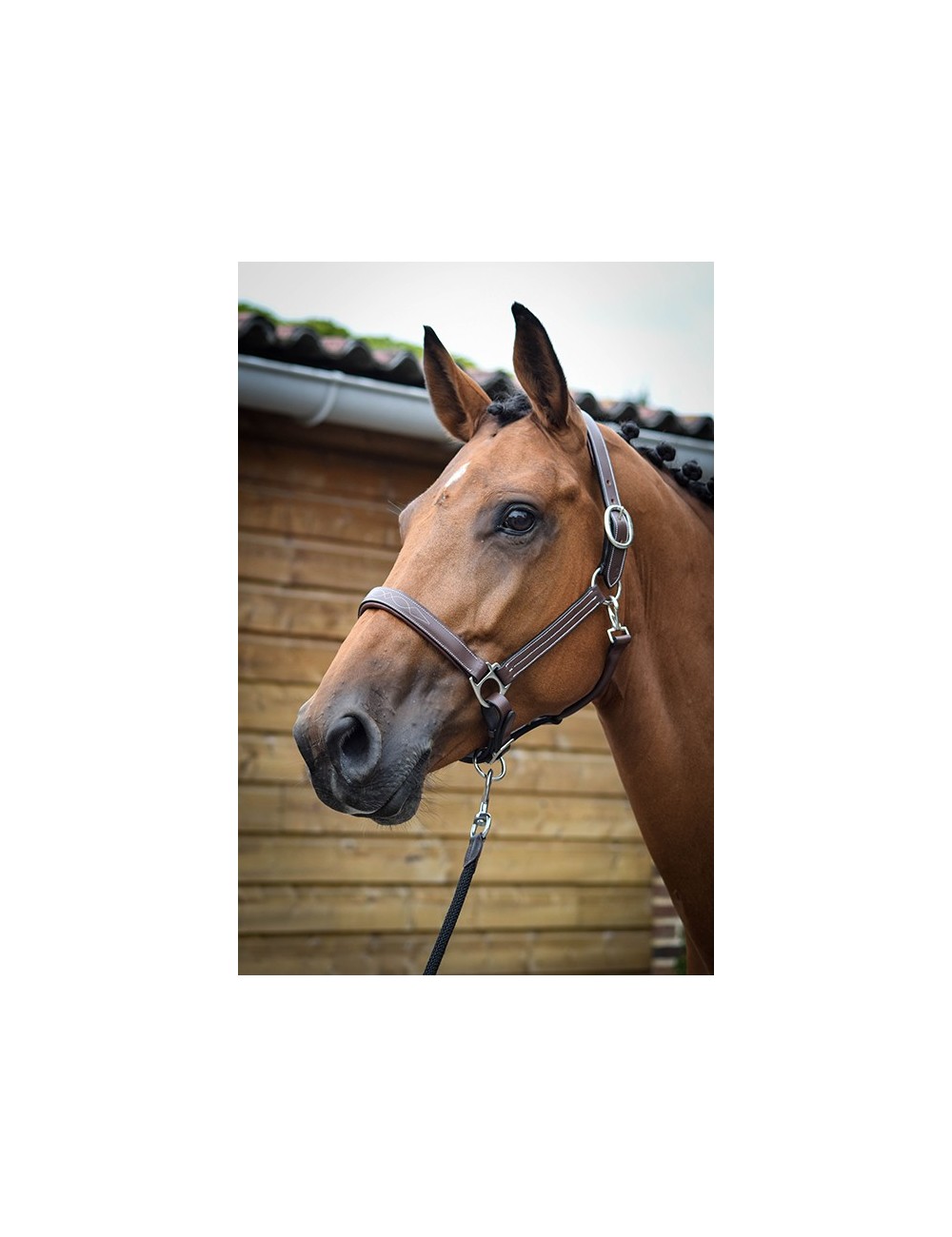 JUMPIN(ｼﾞｬﾝﾋﾟﾝ) レザーホルター Fancy｜乗馬用品なら中江物産通販サイト