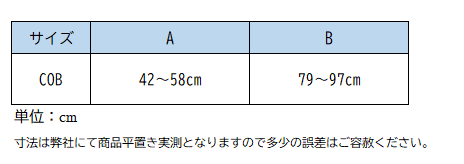 JUMPIN(ｼﾞｬﾝﾋﾟﾝ) レザーホルター Fancy