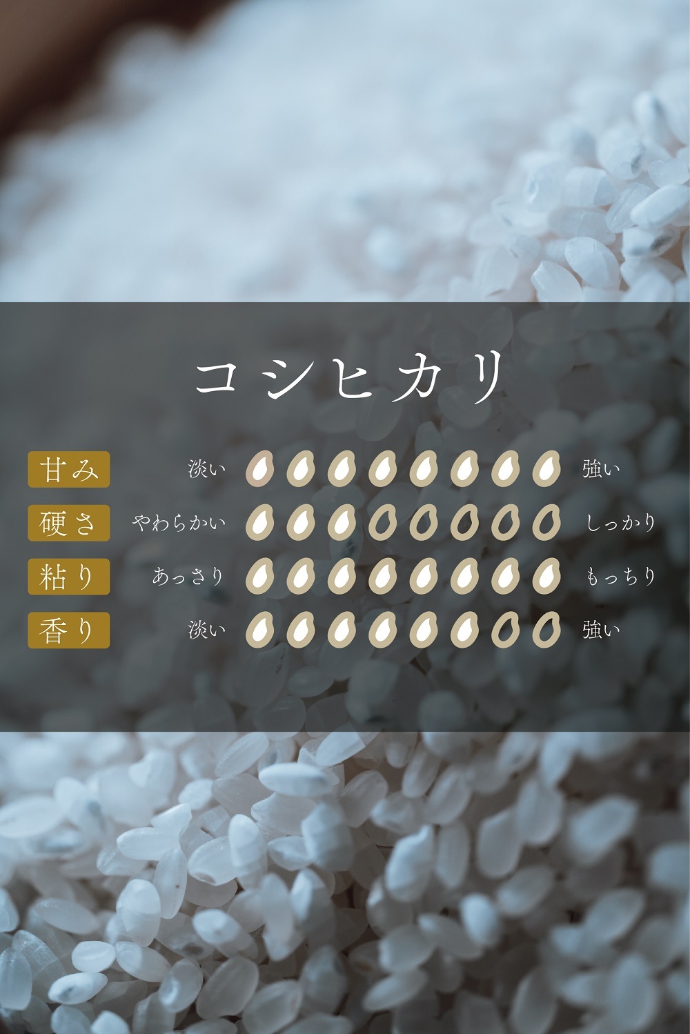 7ǯ Ŵ¿󤷤ꥳҥ5kg