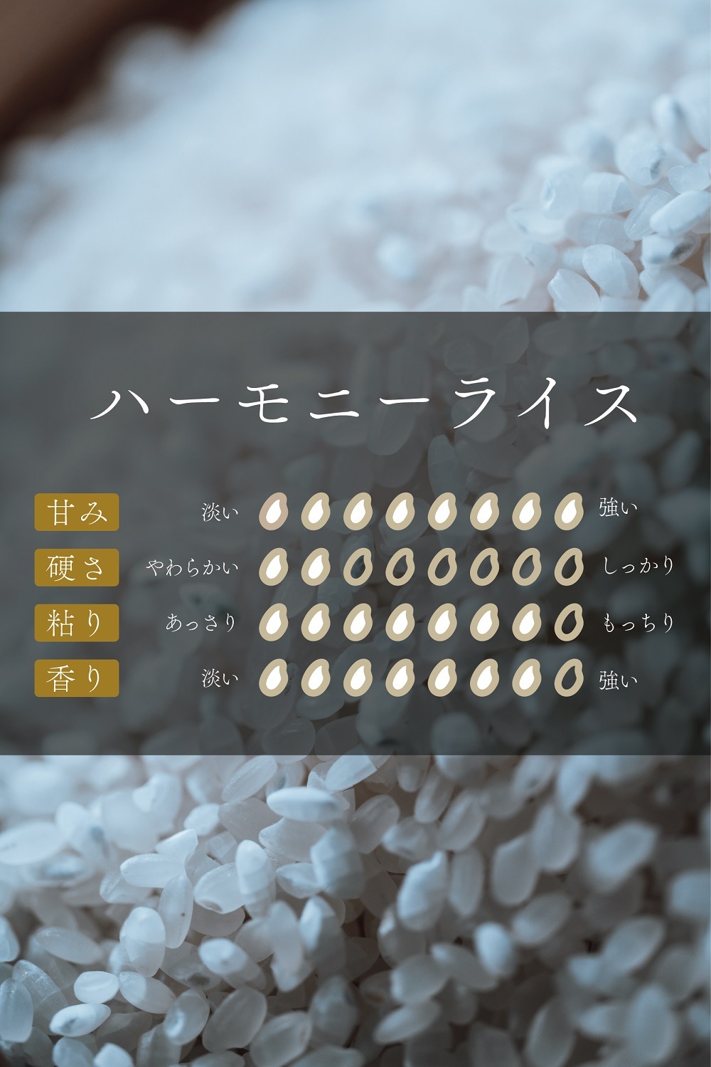 6ǯ Ŵ¿ϡˡ饤5kg