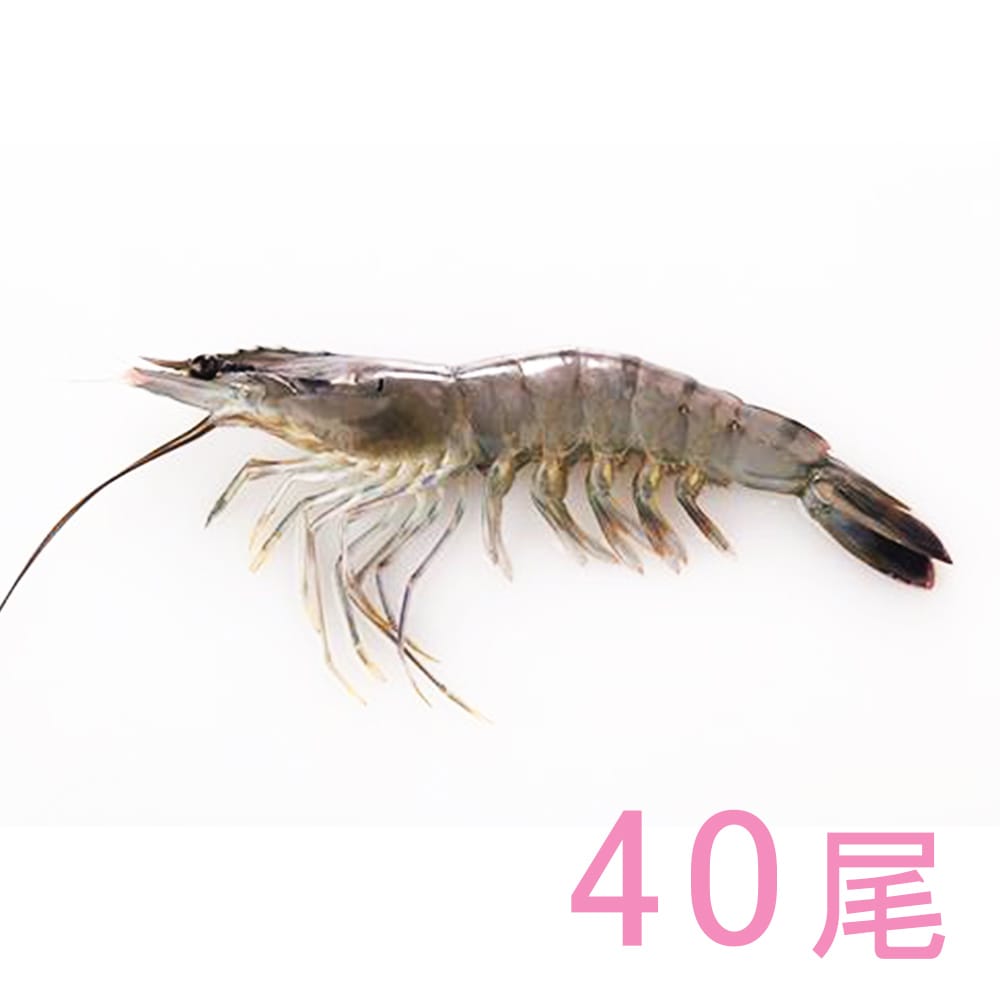 海老ブラックタイガー 40尾 有頭 1.3kg | 冷凍食品,冷凍おかず の