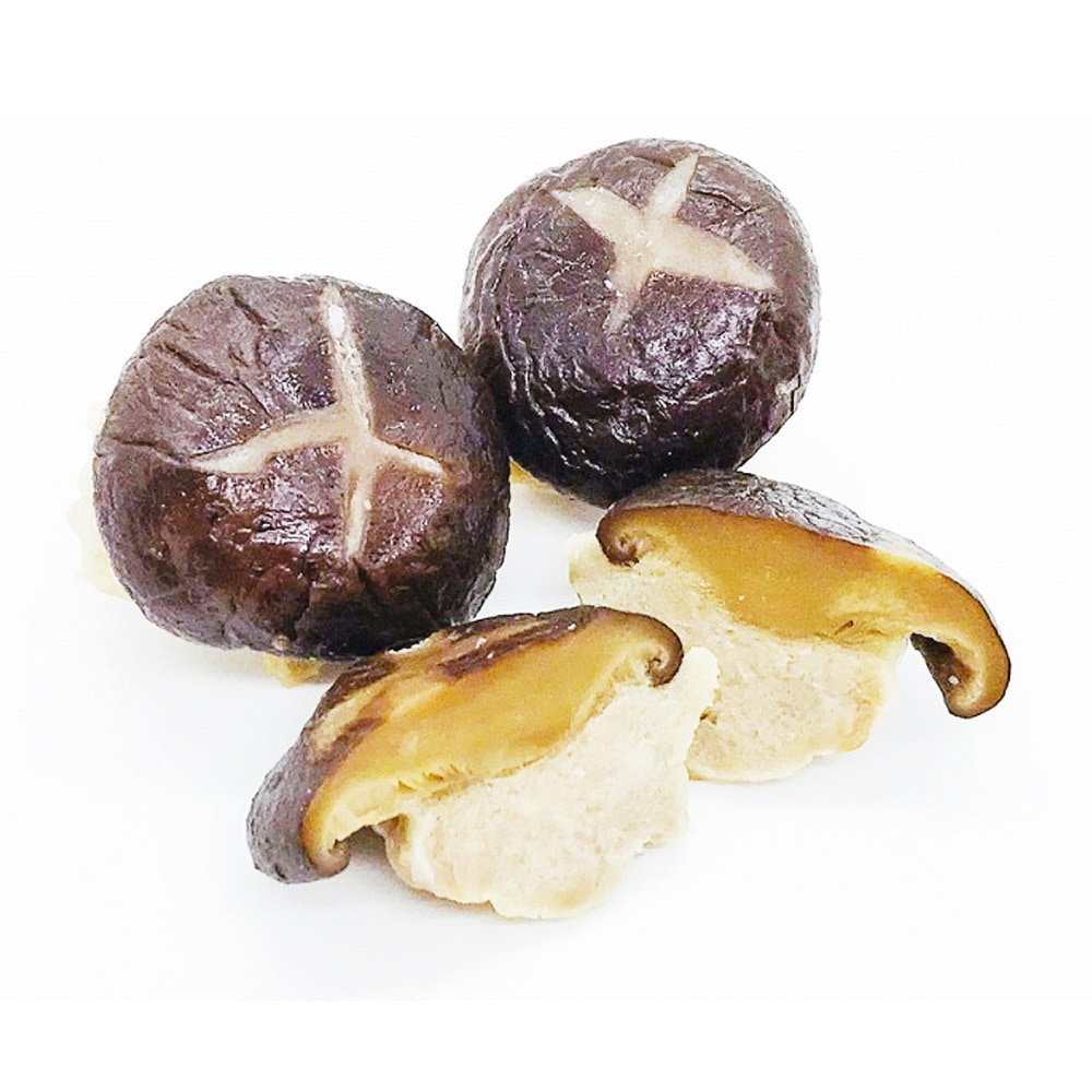 椎茸屋 ギフト】オーガニック原木干し椎茸スペシャルBOX | ヒュッテきのこファーム