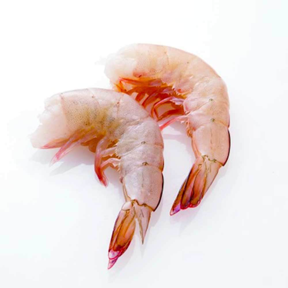 海老 ホワイトエビ 無頭 21-25 1.8kg | 魚介類・水産加工品,生鮮魚介