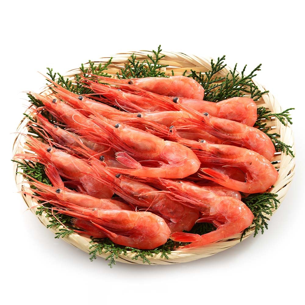 ���ȥ饹 �Ť��� �ɿ��� M 1kg