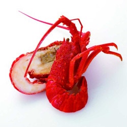 Ρʥߥӥܥ֥ϡեåȲǮѡ(150/200)14(28ϡ)