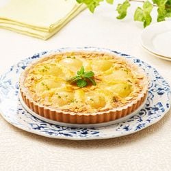 ơ֥ޡ ե꡼å (ۡ) 492g 