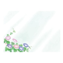 GFC 664553вֲī 100硡
