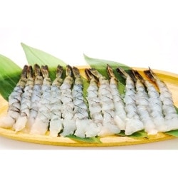 ǯòʡۿФϷ ֥å 13/15  308g(14)